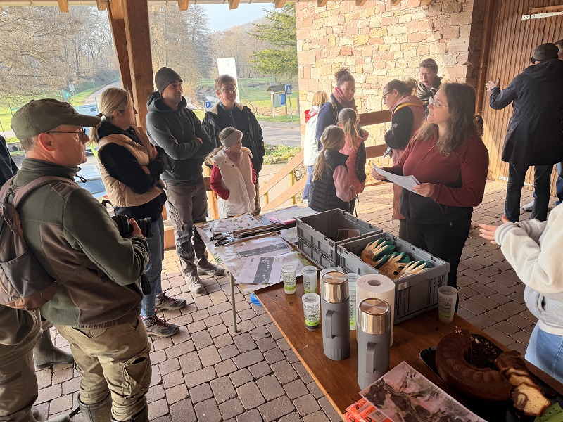 IMG_9137.jpeg (276 KB)