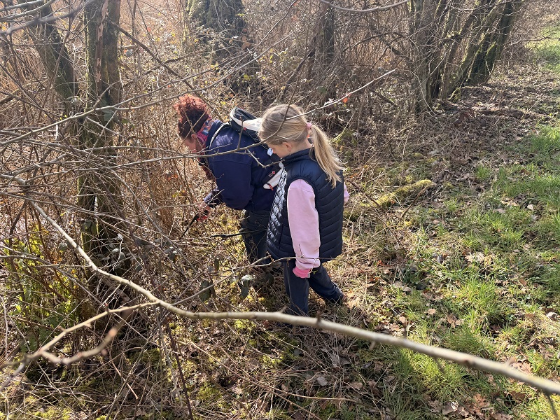 IMG_9141.jpeg (390 KB)