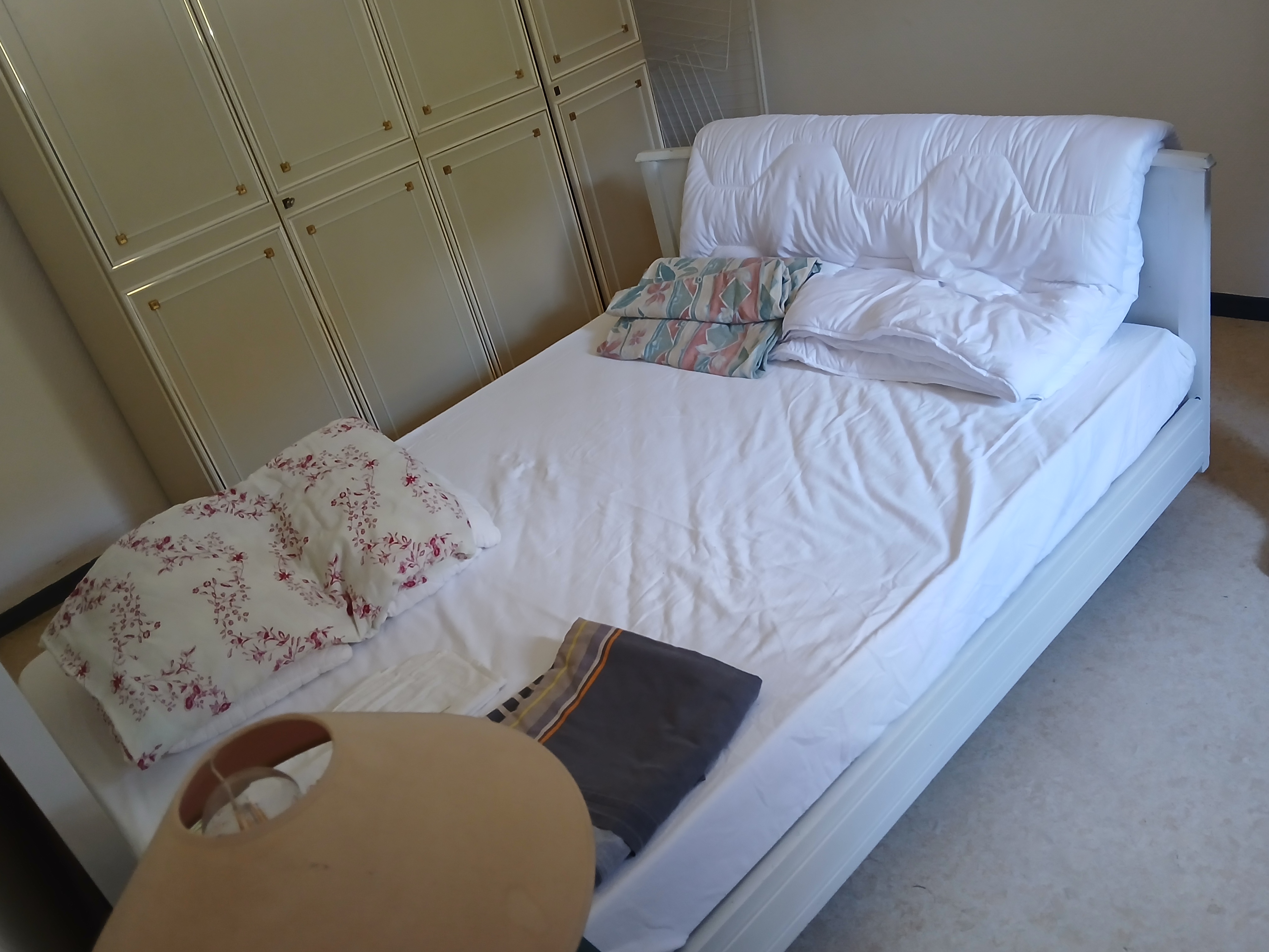 20260416_104315.jpg (2.45 MB)