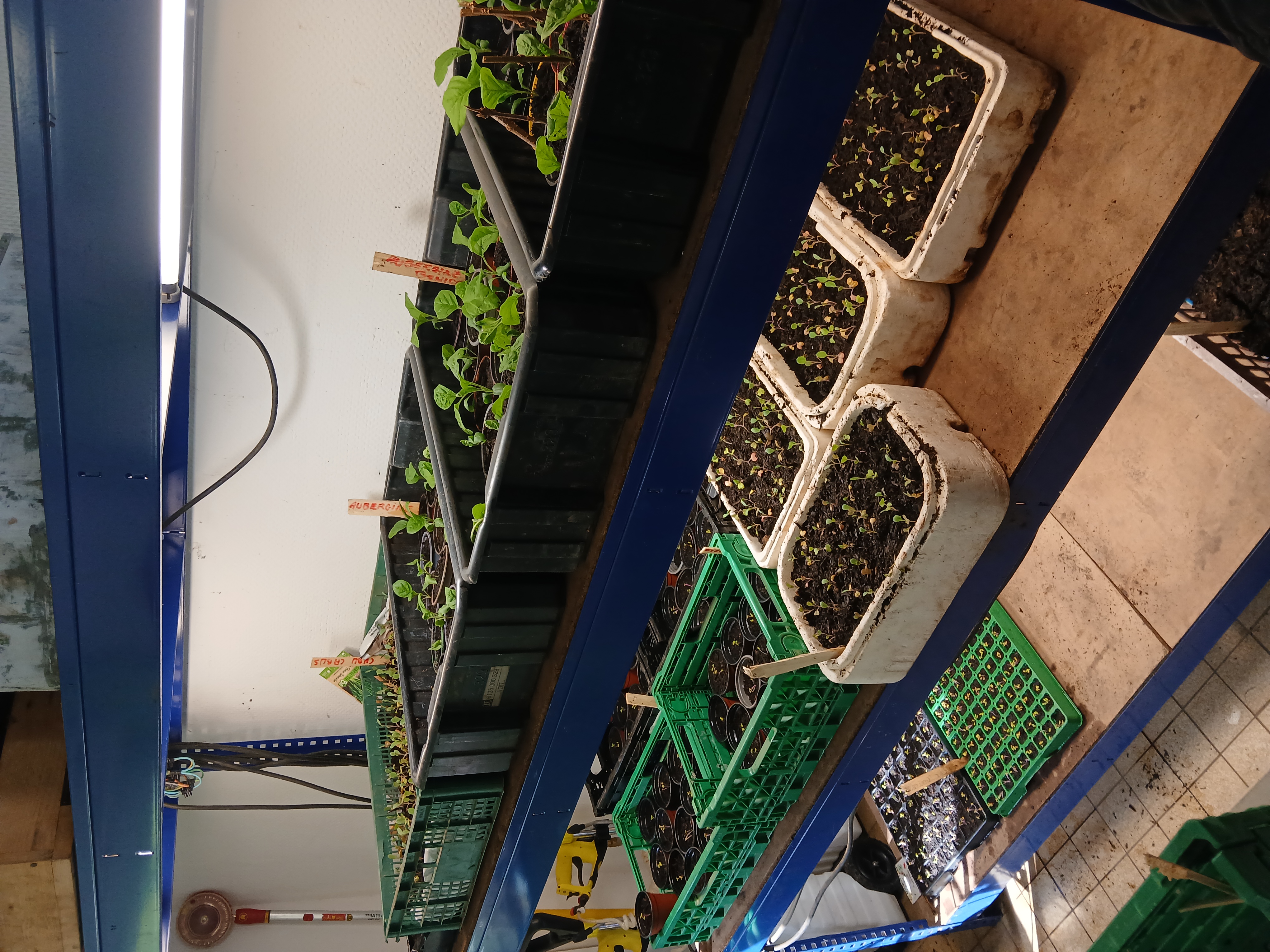 20260416_105417.jpg (4.05 MB)