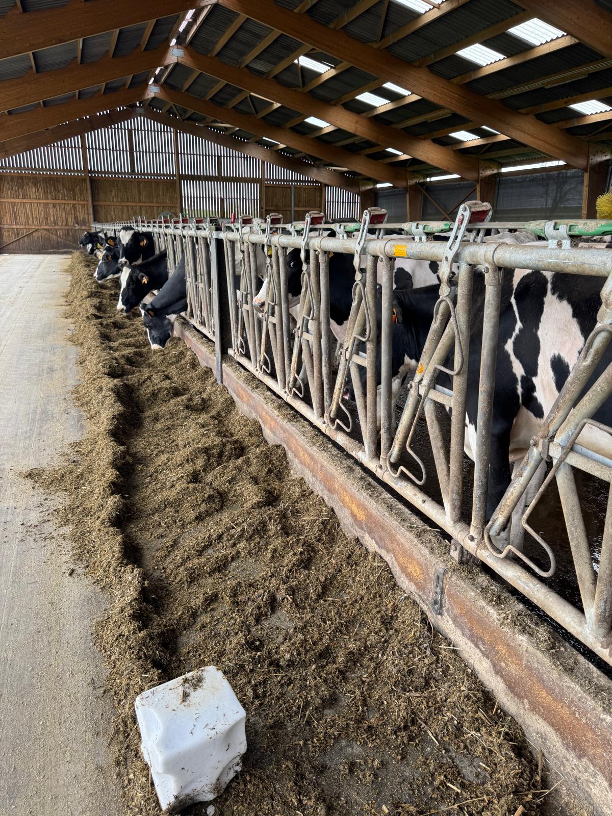 IMG-20260410-WA0018.jpg (464 KB)