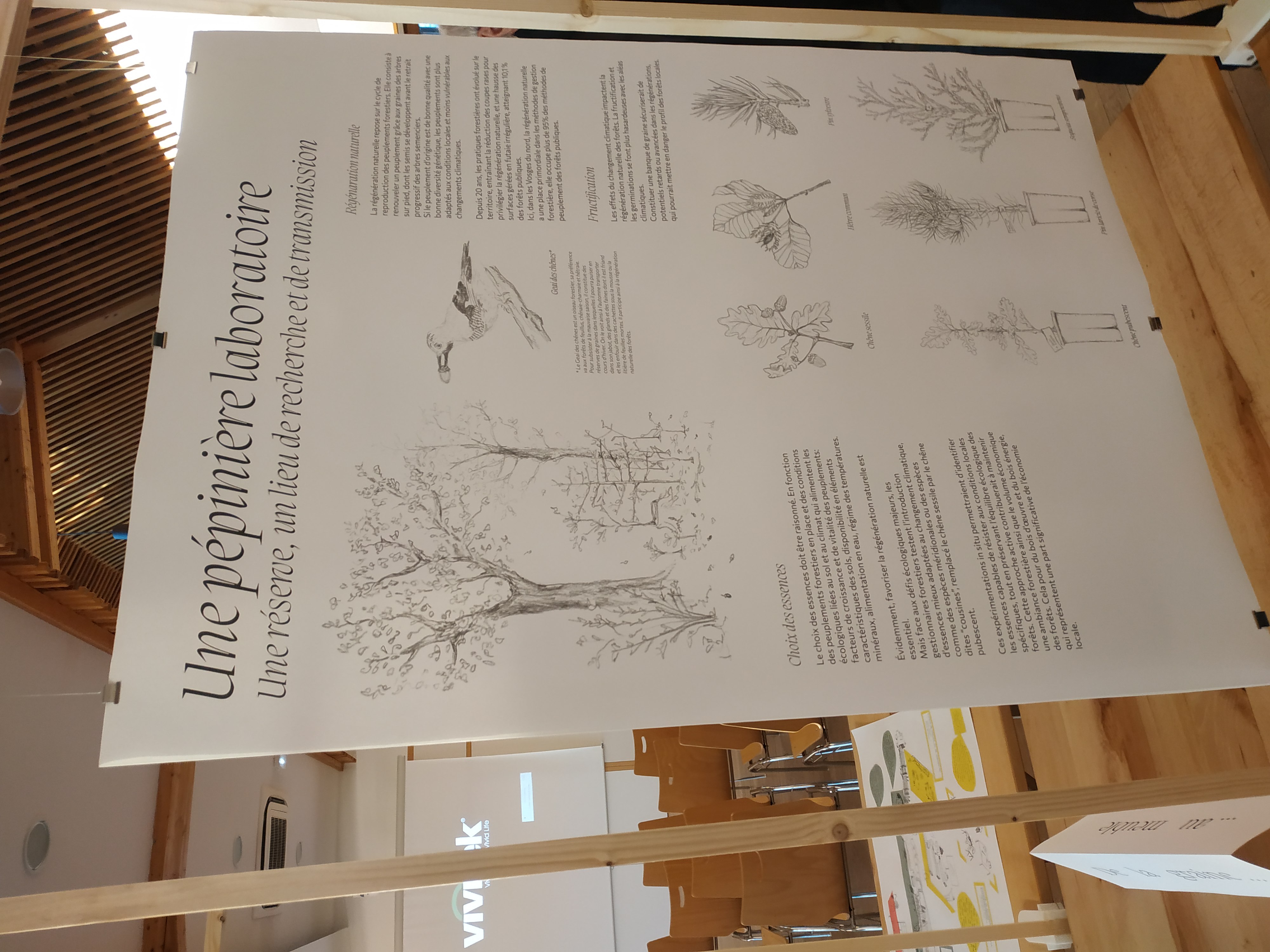 IMG_20250121_164307.jpg (1.17 MB)